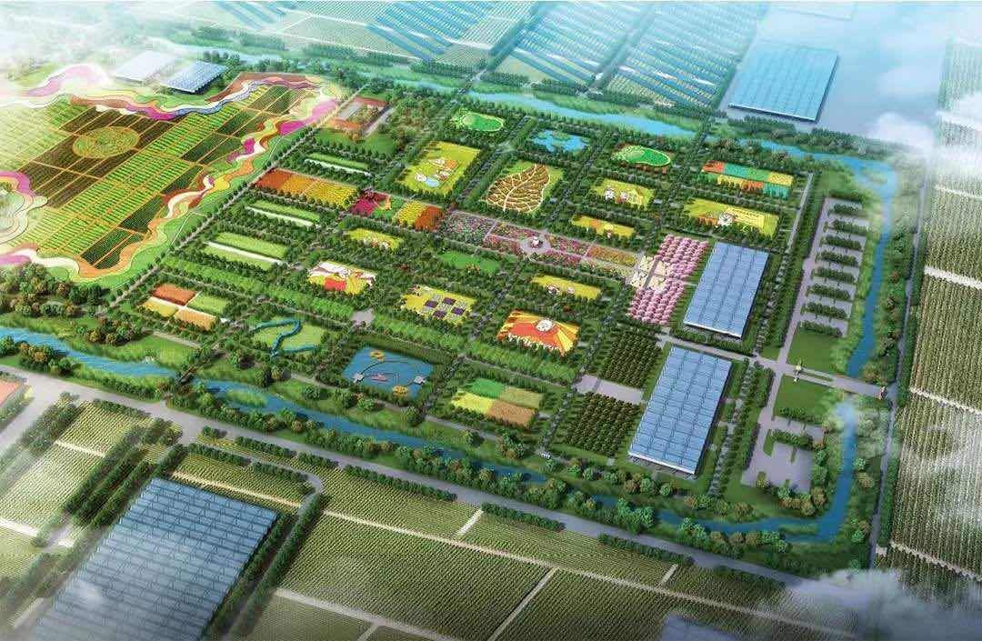 天津市西青区王稳庄示范小城镇农